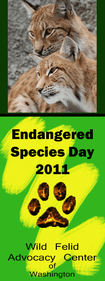 Endangered Species Day Banner