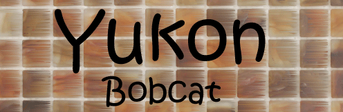 Yukon Bobcat