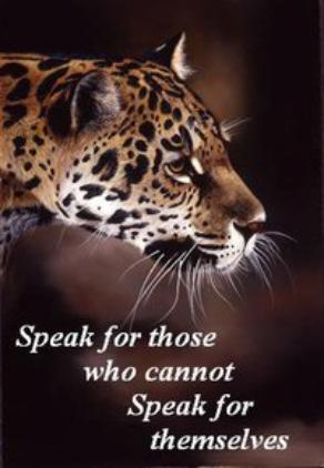 Speak for those who cannot speak for themselves