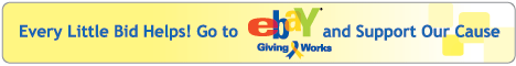 Ebay Support our Cause